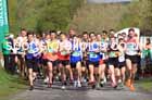 The 2023 Terry O'Gara Memorial 5k Road Race organised by Wallsend Harriers. Photo: David T. Hewitson/Sports for All Pics